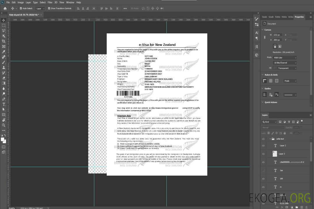 Modèle de visa électronique pour la Nouvelle-Zélande aux formats Word et PDF, version 2 template